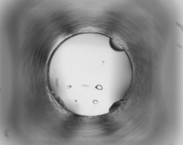 X0000095911008200802011146