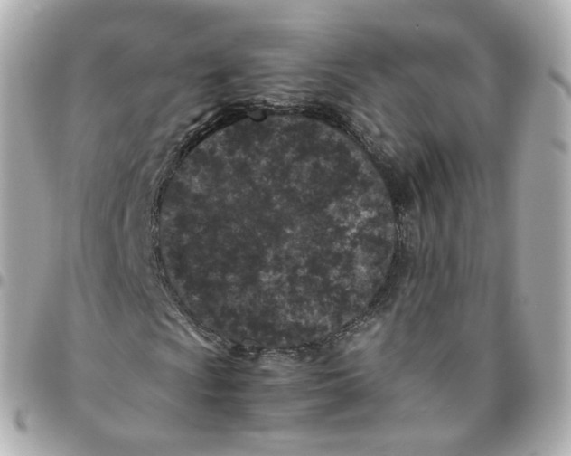 X0000095911009200802011146