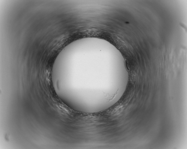 X0000095911010200802011146