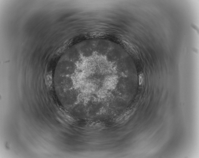 X0000095911011200802011146