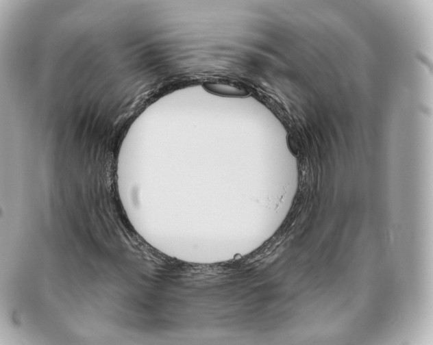 X0000095911012200802011146