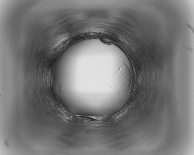 X0000095911014200802011146