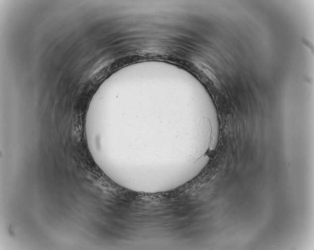 X0000095911015200802011146