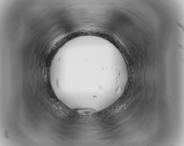 X0000095911016200802011146