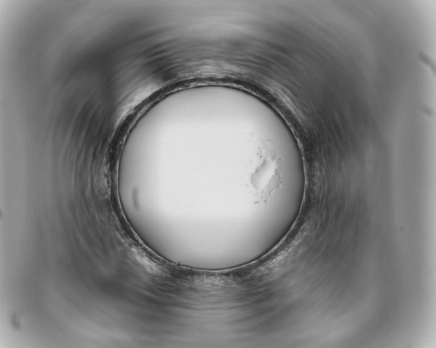 X0000095911018200802011146