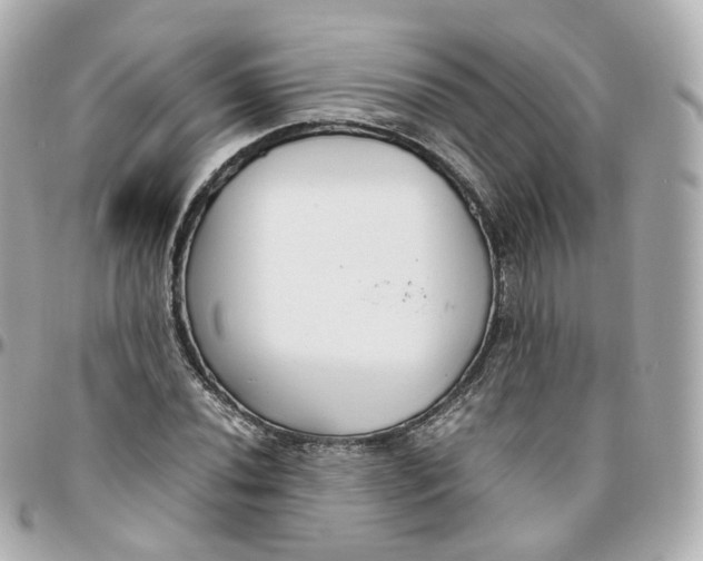 X0000095911020200802011146