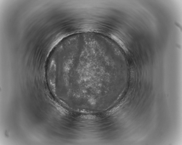 X0000095911023200802011146