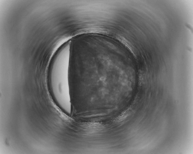 X0000095911024200802011146