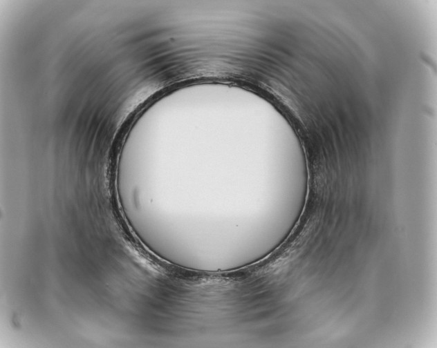 X0000095911026200802011146