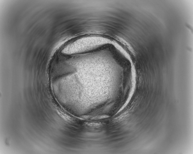 X0000095911027200802011146