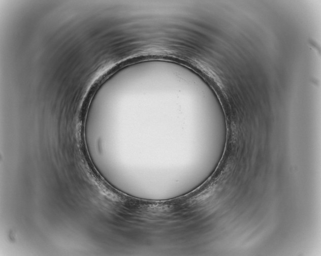 X0000095911029200802011146