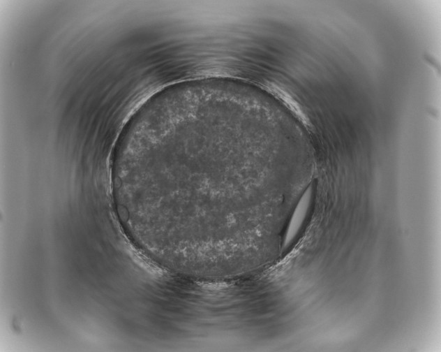 X0000095911031200802011146