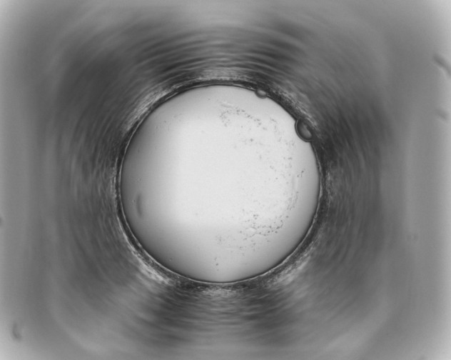 X0000095911033200802011146