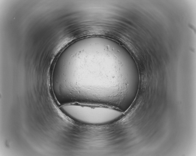 X0000095911034200802011146