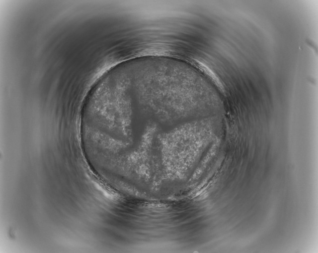 X0000095911035200802011146