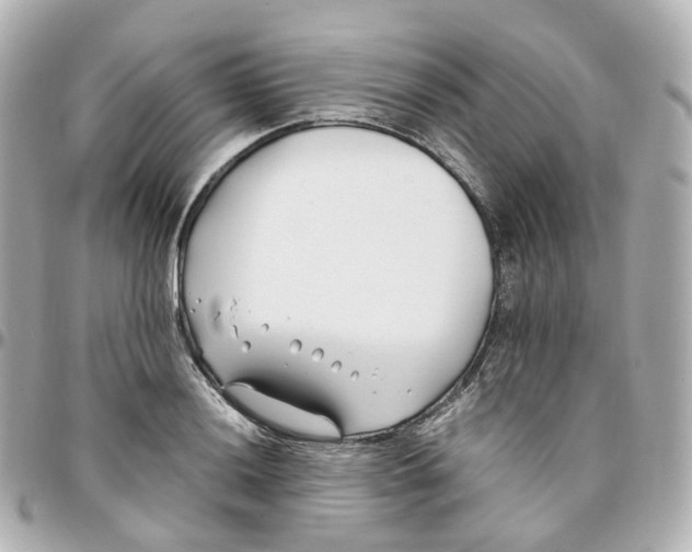 X0000095911036200802011146