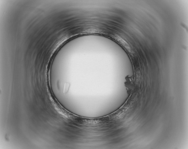 X0000095911039200802011146