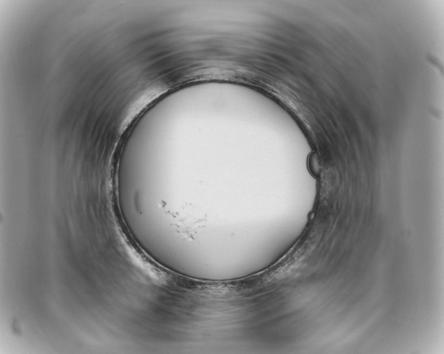 X0000095911042200802011146