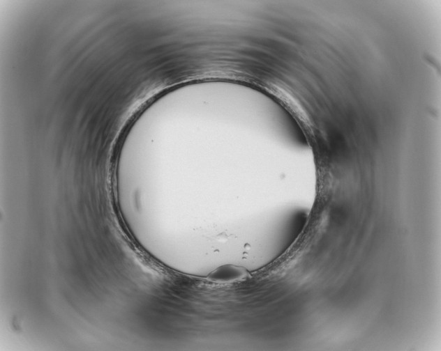 X0000095911043200802011146