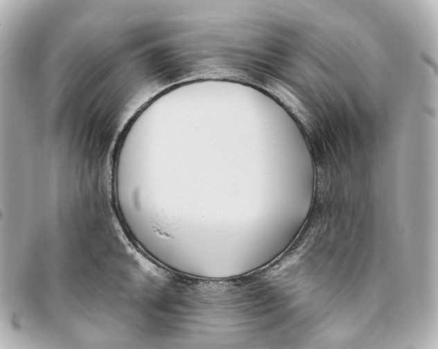 X0000095911046200802011146