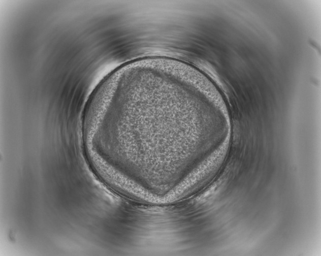 X0000095911048200802011146