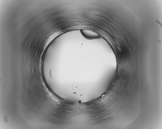 X0000095911050200802011146