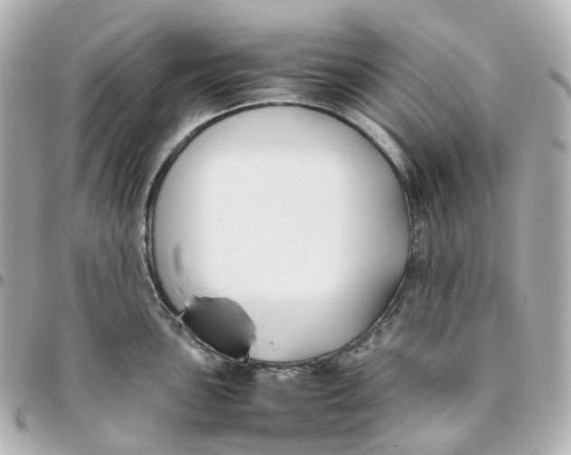 X0000095911051200802011146