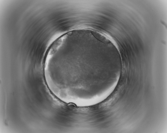 X0000095911053200802011146