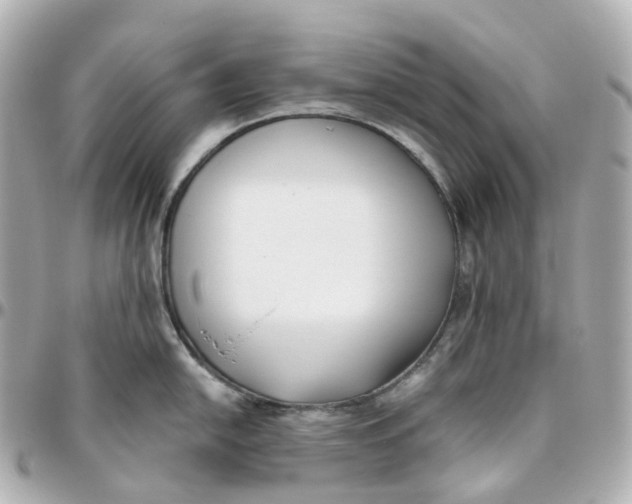 X0000095911054200802011146