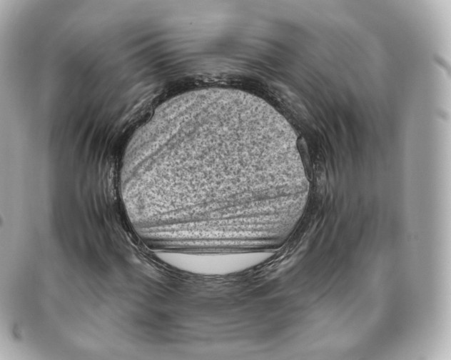 X0000095911060200802011145