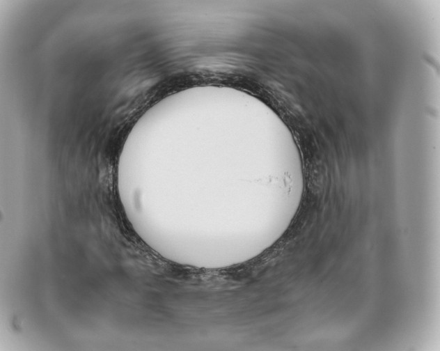 X0000095911061200802011145