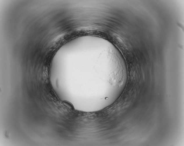 X0000095911062200802011145