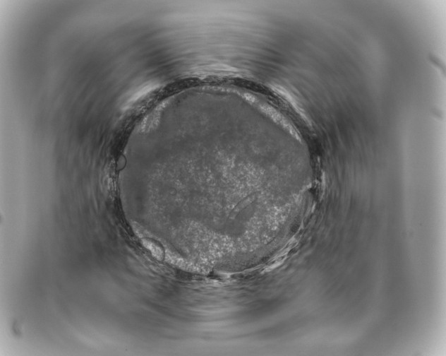 X0000095911063200802011145