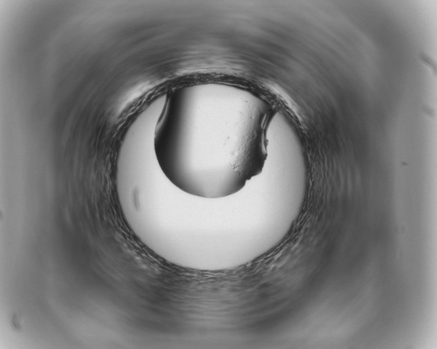 X0000095911064200802011145