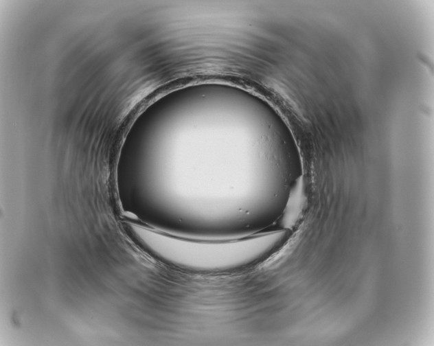 X0000095911065200802011145