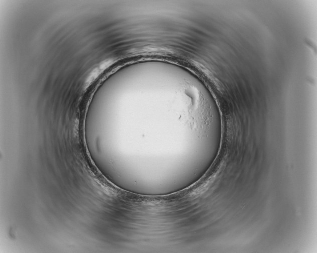 X0000095911066200802011145