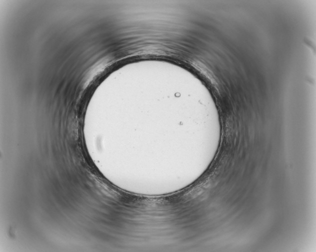 X0000095911067200802011145