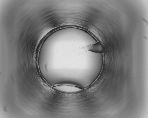 X0000095911068200802011145