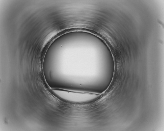 X0000095911069200802011145