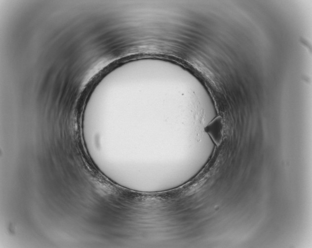 X0000095911070200802011145