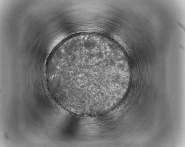 X0000095911071200802011145