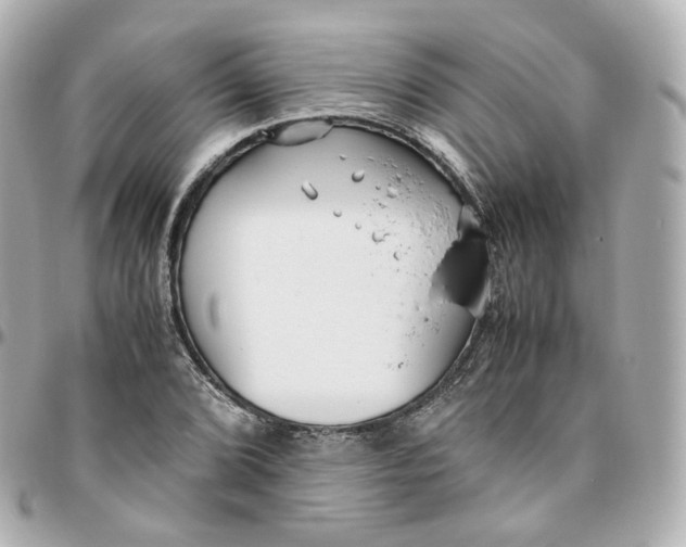 X0000095911072200802011145