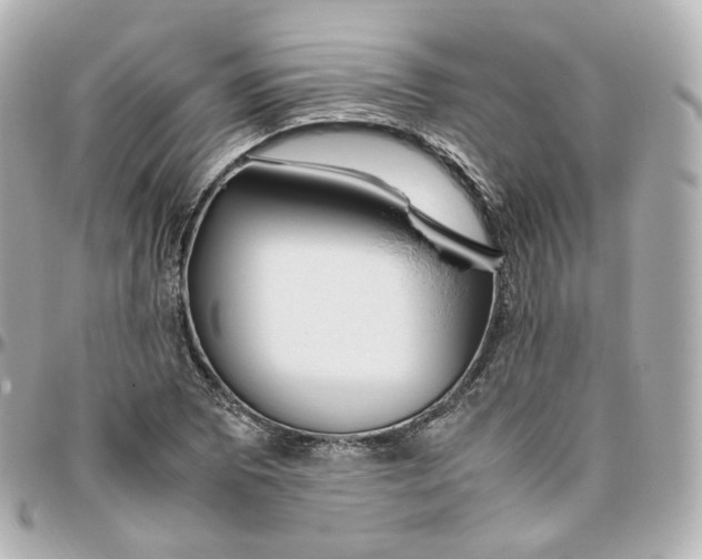 X0000095911073200802011145