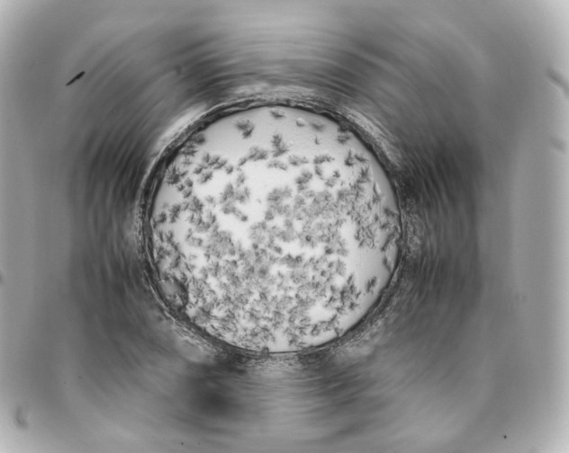 X0000095911074200802011145