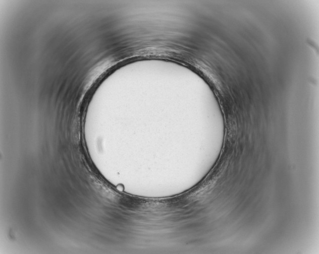 X0000095911075200802011145