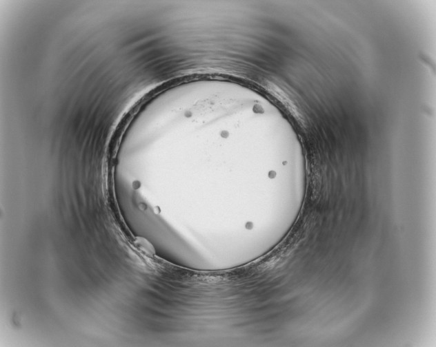 X0000095911076200802011145