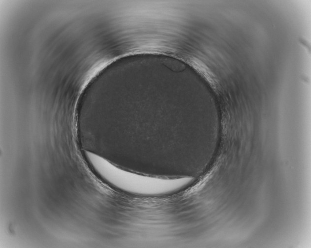 X0000095911077200802011145