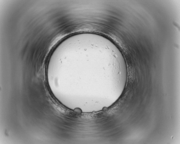 X0000095911078200802011145