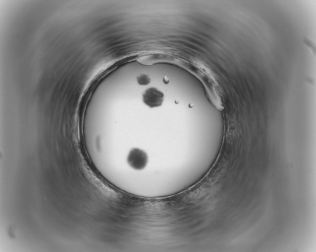 X0000095911080200802011145