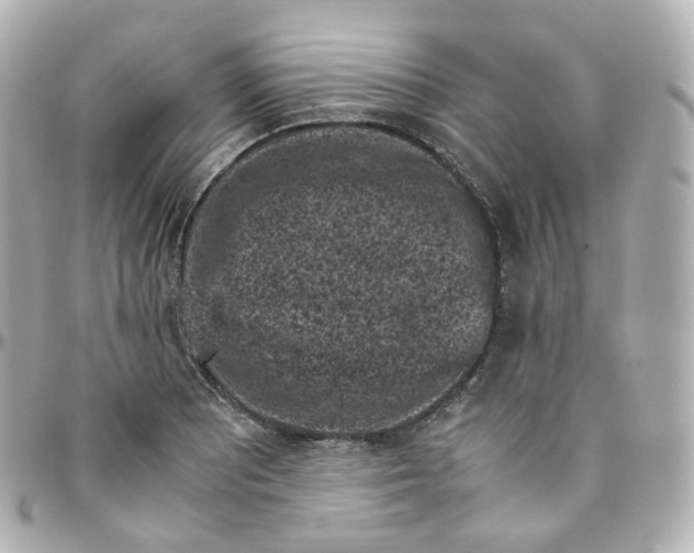 X0000095911081200802011145